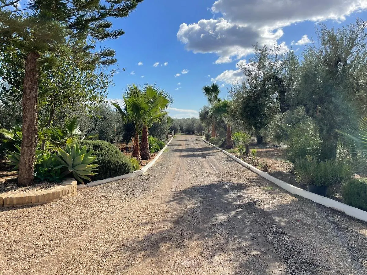 El Paraiso Del Olivar Bollullos de la Mitacion Holiday home